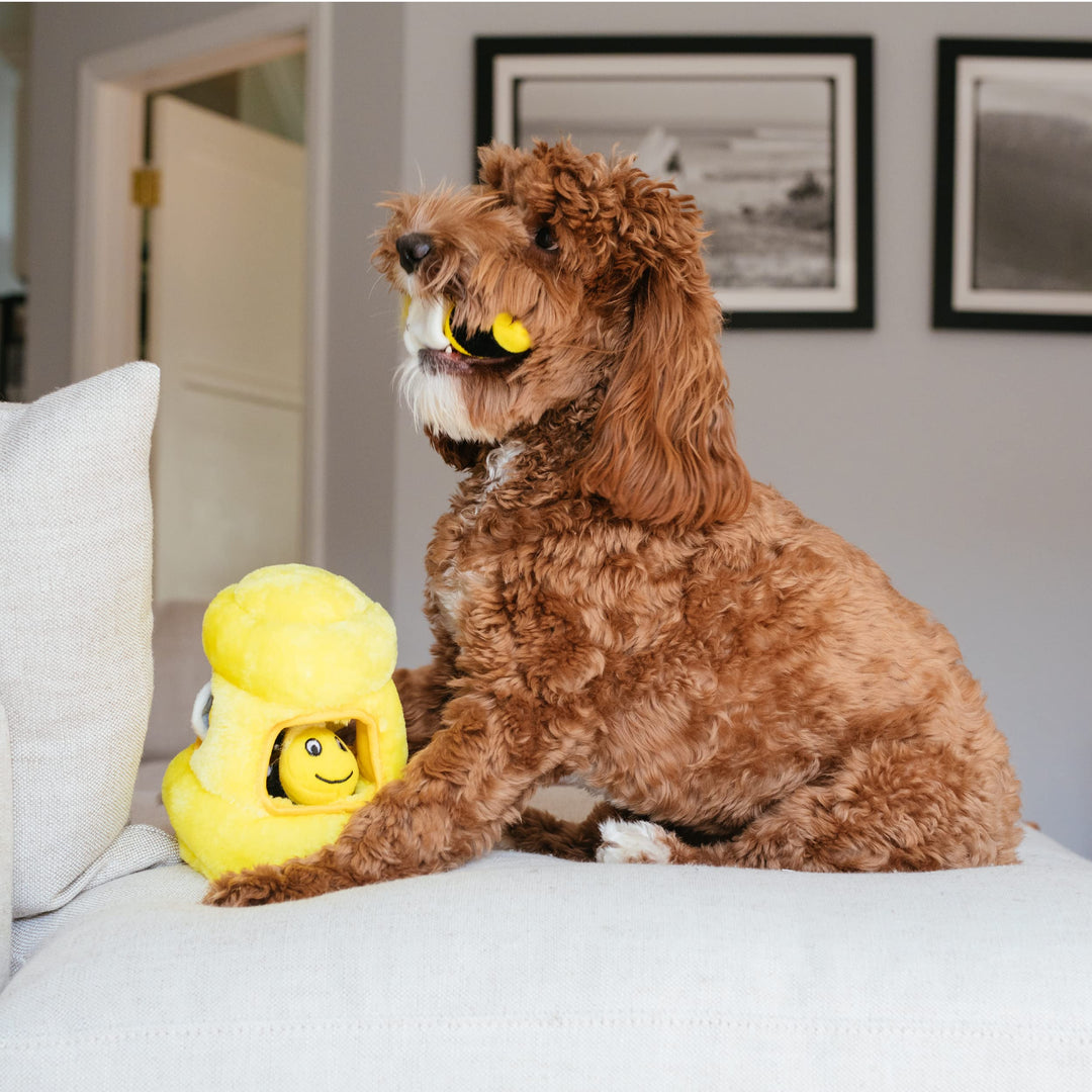 Hide A Bee Plush Dog Toy Puzzle
