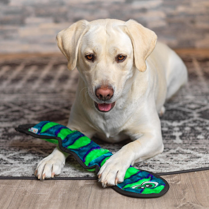 Durablez Tough Plush Squeaky Dog Toy, Snake, Blue, Large