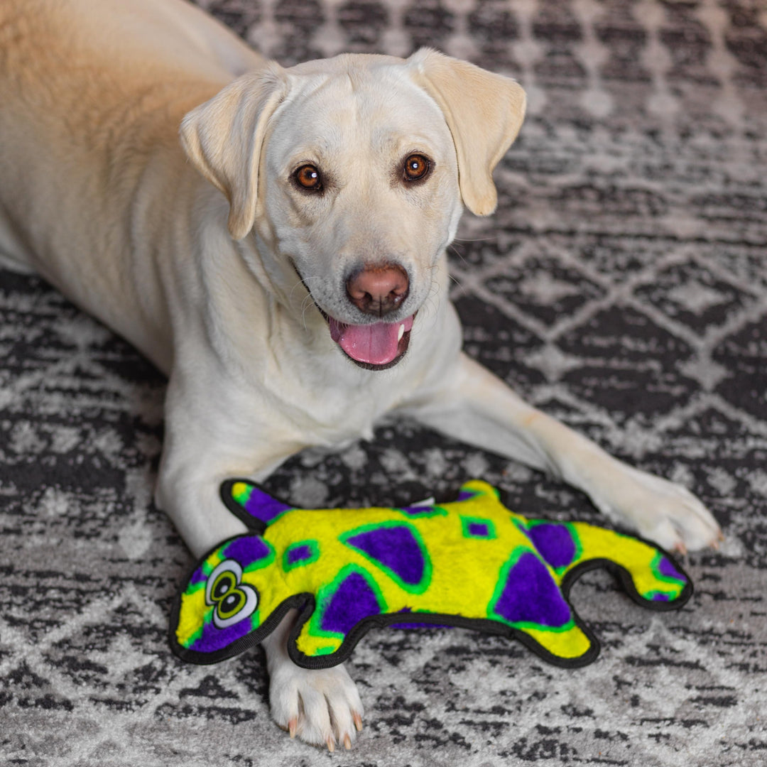 Durablez Tough Plush Squeaky Dog Toy, Gecko, Green, Large