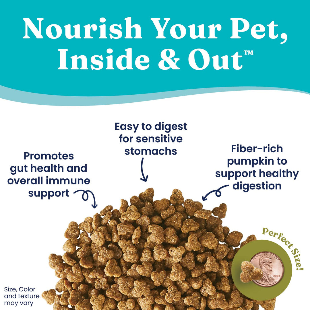 Sensitive Stomach Dry Cat Food - Made with Real Quail & Pumpkin - Winged Tiger Grain Free Cat Food Sensitive Stomach for Adult & Senior Cats - Supports Immune & Digestive Health - 6lb