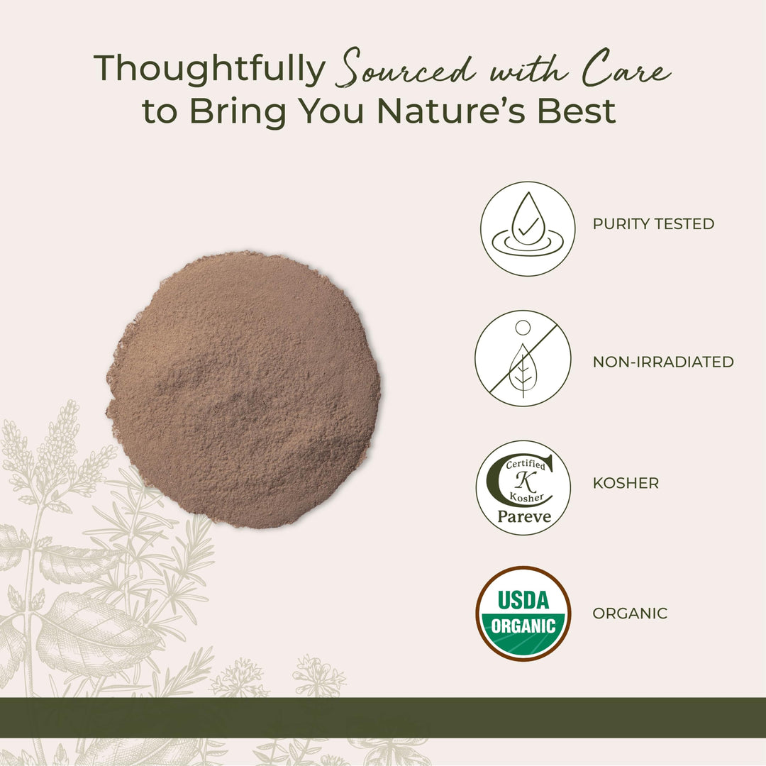 Burdock Root Powder, 1 Pound