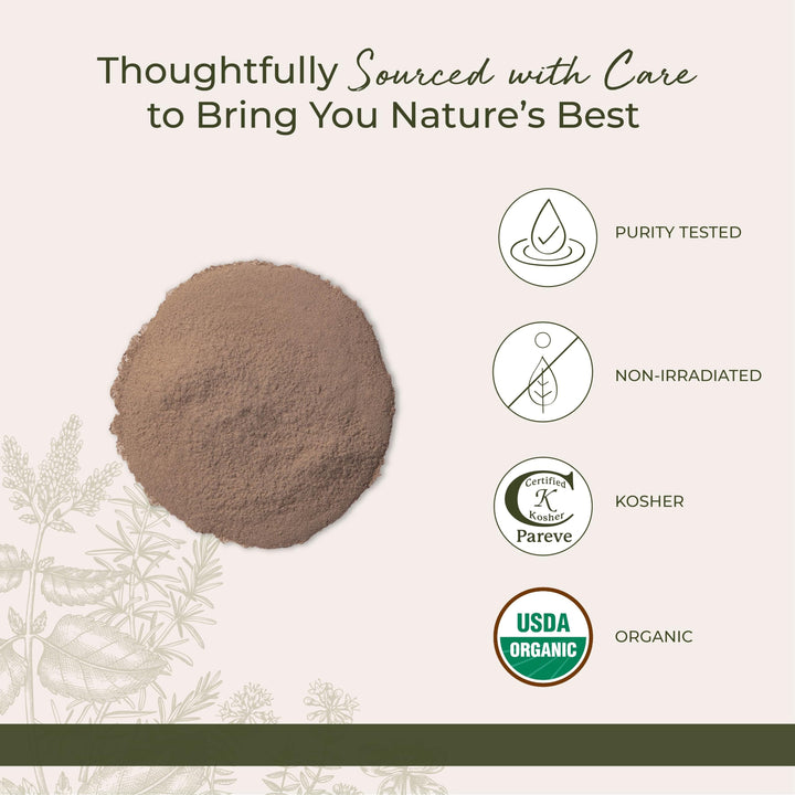Burdock Root Powder, 1 Pound