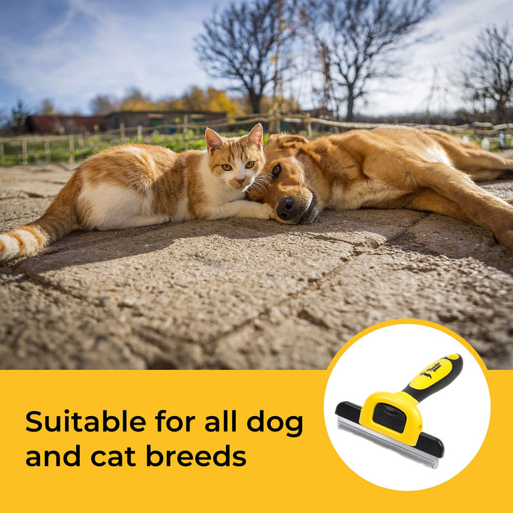 Best Professional De-Shedding Tool and Pet Grooming Brush, D-Shedz for Breeds of Dogs, Cats with Short or Long Hair, Small, Medium and Large (Yellow)
