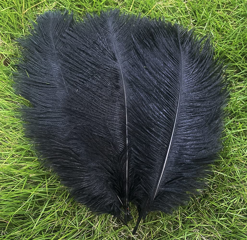 Ostrich Feathers 8-10 inch / 20-25 cm Pack of 10 (Wine red)