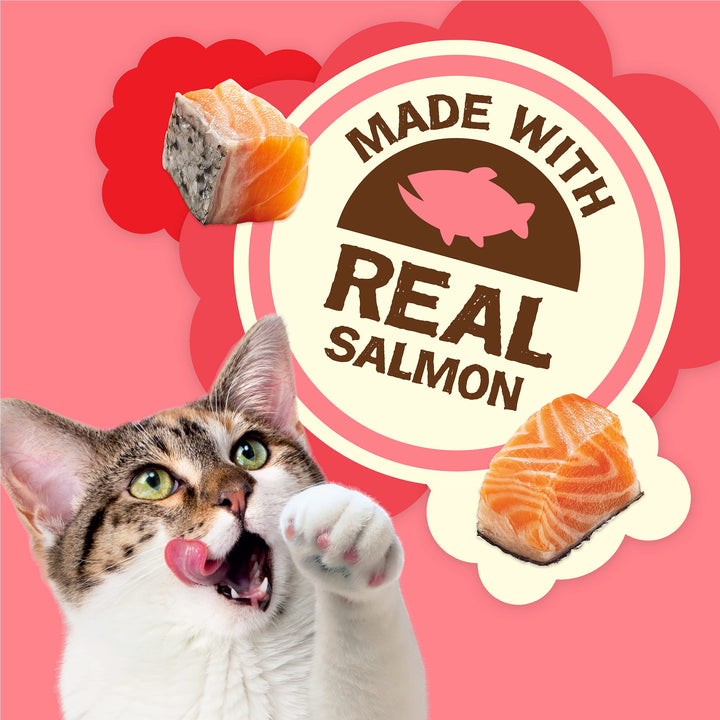 Purina Natural Cat Treats Party Mix Natural Yums With Real Salmon and Added Vitamins, Minerals and Nutrients - 20 Oz. Canister