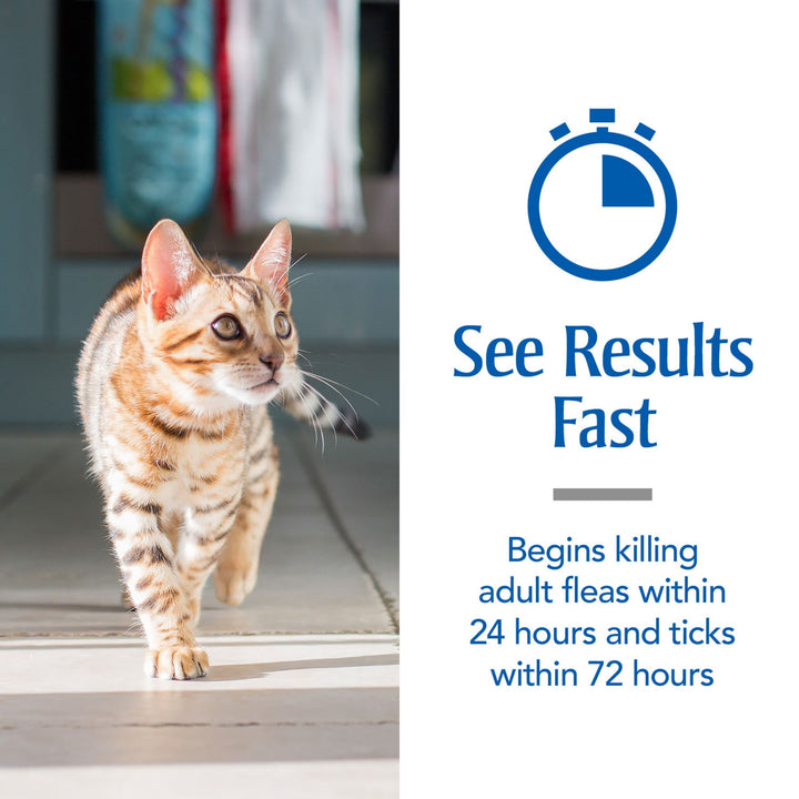for Cats, Flea & Tick Treatment for Cats (Over 1.5 Pounds), Includes 3 Month Supply of Topical Flea Treatments