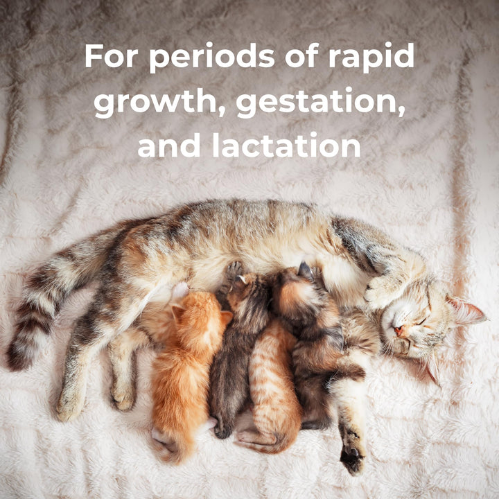 ® Calcium Phosphorus Tablets for Cats & Dogs, 50ct