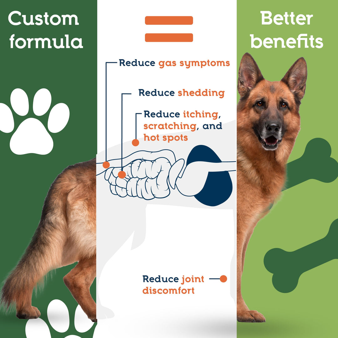 Pet Ultimates Probiotics for Dogs – 22-Species Dog Probiotics for Digestive Support & Antibiotics Recovery – Skin and Coat Supplement, Enhances Vitality – Dog Health Supplies (1 Pack)