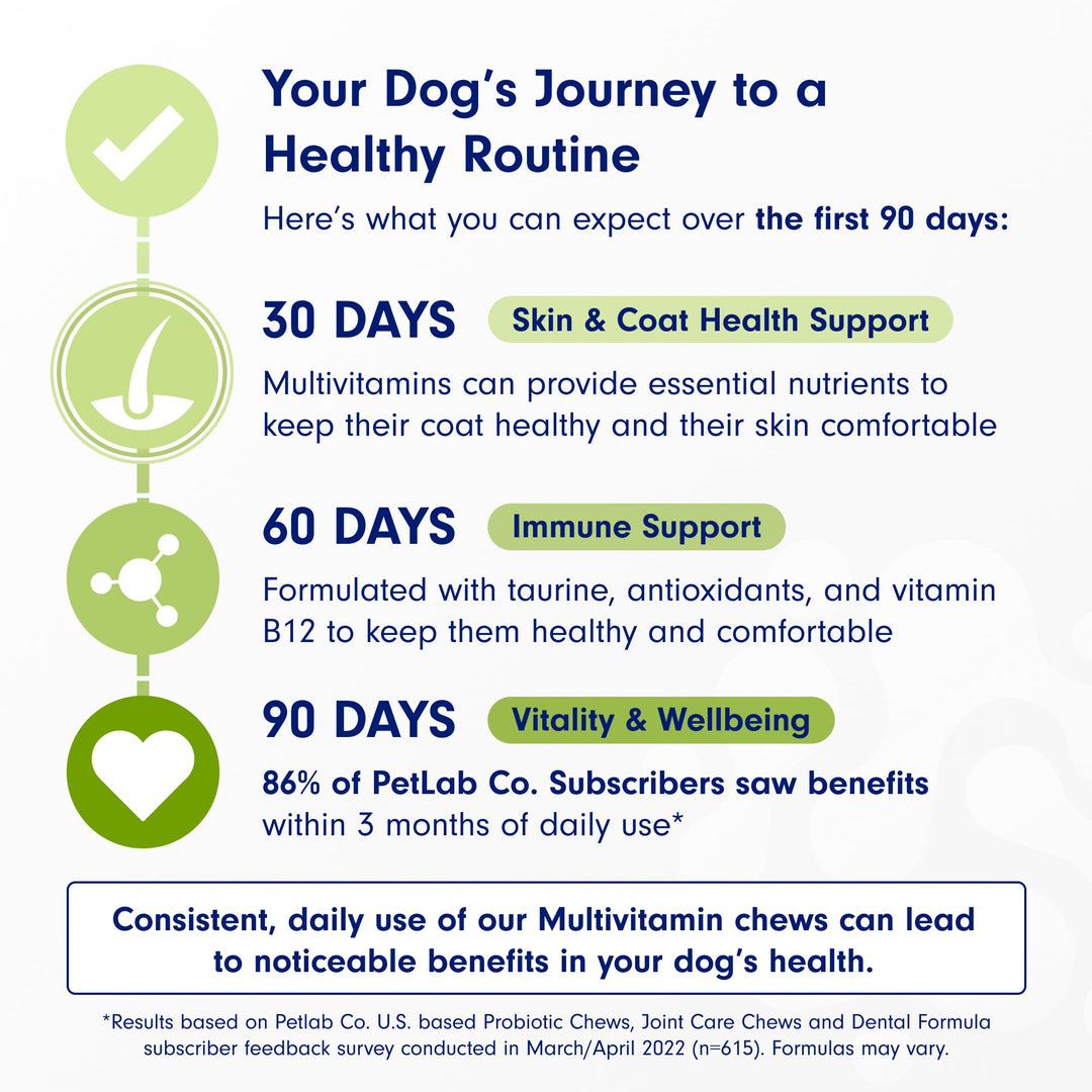 22 in 1 Dog Multivitamin - Support Dog's Immune Response, Skin, Coat, Joints & Overall Health - Vitamins A, E, D, B12, Minerals, Antioxidants - Chewable Pork Flavor