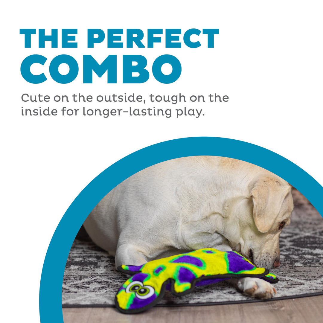 Durablez Tough Plush Squeaky Dog Toy, Gecko, Green, Large