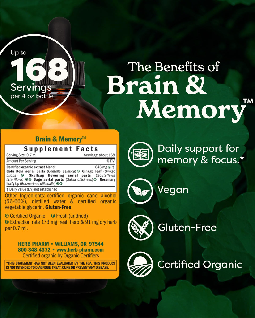 Brain and Memory Liquid Herbal Formula with Ginkgo for Memory and Concentration, 4 Fl Oz