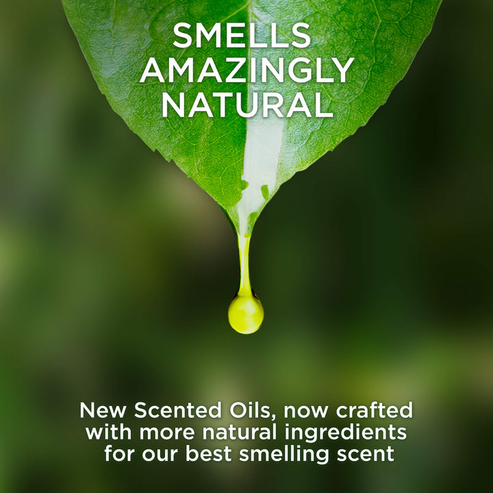 Plug in Scented Oil, Woodland Mystique, Fall scent, Fall spray, (3x0.67oz), Essential Oils, Air Freshener, Packaging May Vary, 3 Count