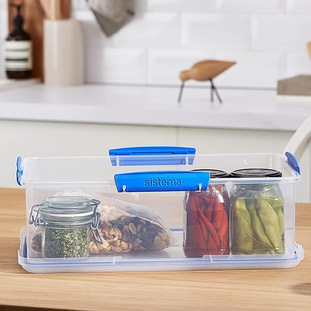 Large Food Storage Container with Lid for Lunch