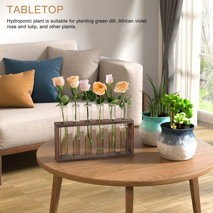 Plant Terrarium with Wooden Stand, Desktop/Wall Hanging Live Plant Propagation Station Planters Glass Tubes Hydroponic Vase Air Planter Holder for Indoor Office Home Garden Decor (6 Test Tubes)