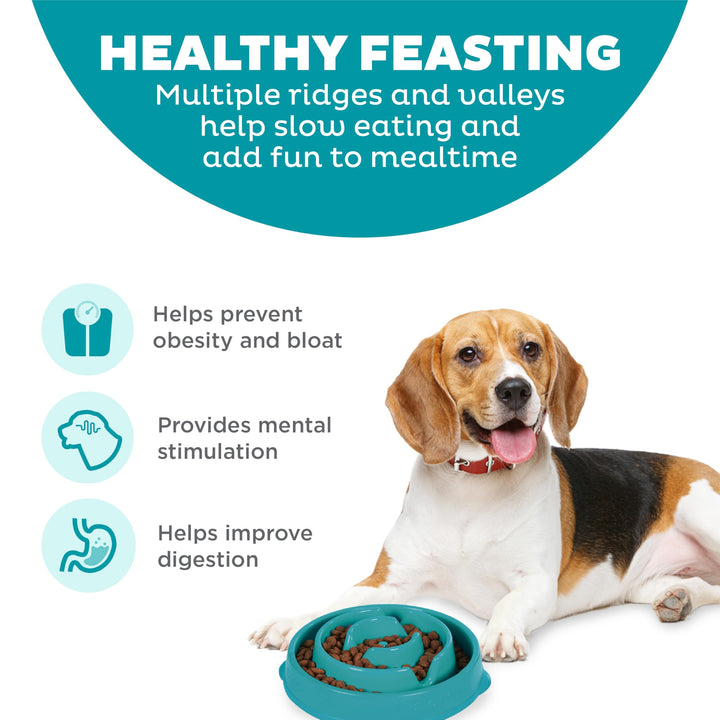 Fun Feeder Slo Bowl, Slow Feeder Dog Bowl, Medium/Mini, Turquoise
