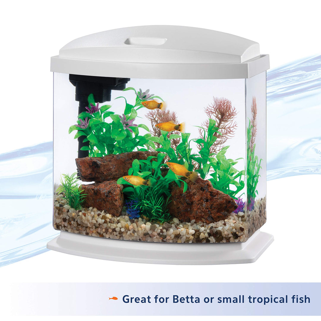 LED MiniBow Aquarium Kit with SmartClean Technology, White, 2.5 Gallon