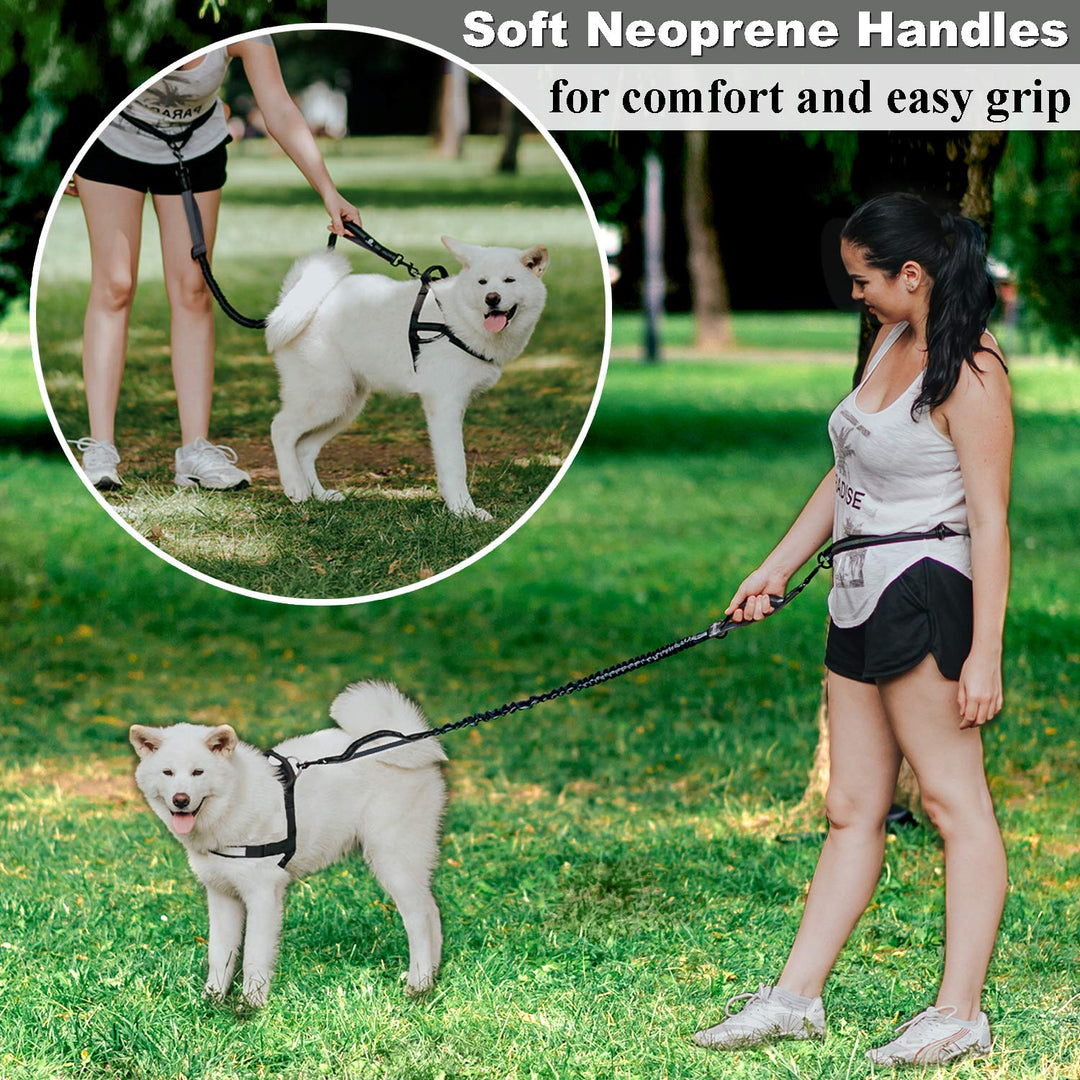 Hands Free Dog Leash for Medium and Large Dogs - Durable Dual Handle Waist Leash with Reflective Bungee for Running, Walking, Training, Hiking (Grey, for 1 Dog)