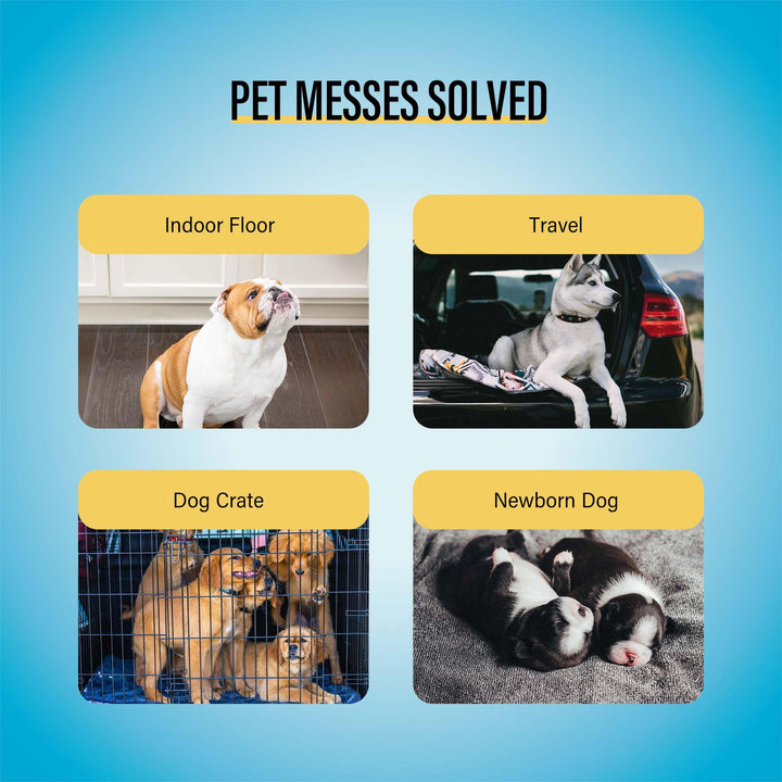 Best Value 22x22 Dog Training Pads 50 Count | Dog Pee Pads | Super Absorbent Puppy Pads,White