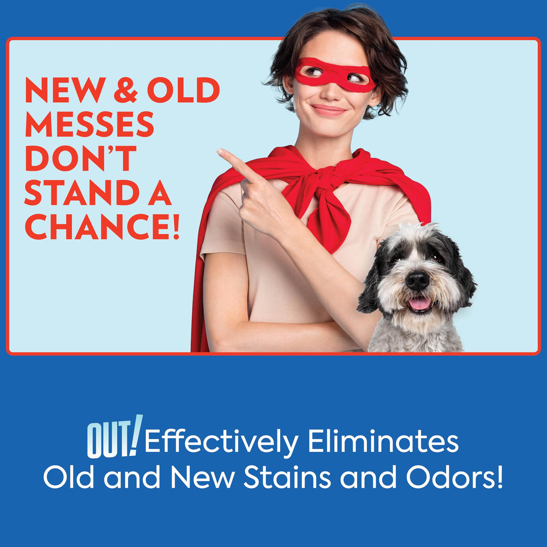 PetCare Advanced Pet Stain and Odor Remover, Stain and Odor Eliminator, Pet Carpet Cleaner, Enzyme Cleaner Spray, Pro Bacteria Urine Remove, Deodorizer, Safe & Effective, 32 fl oz (2 Pack)