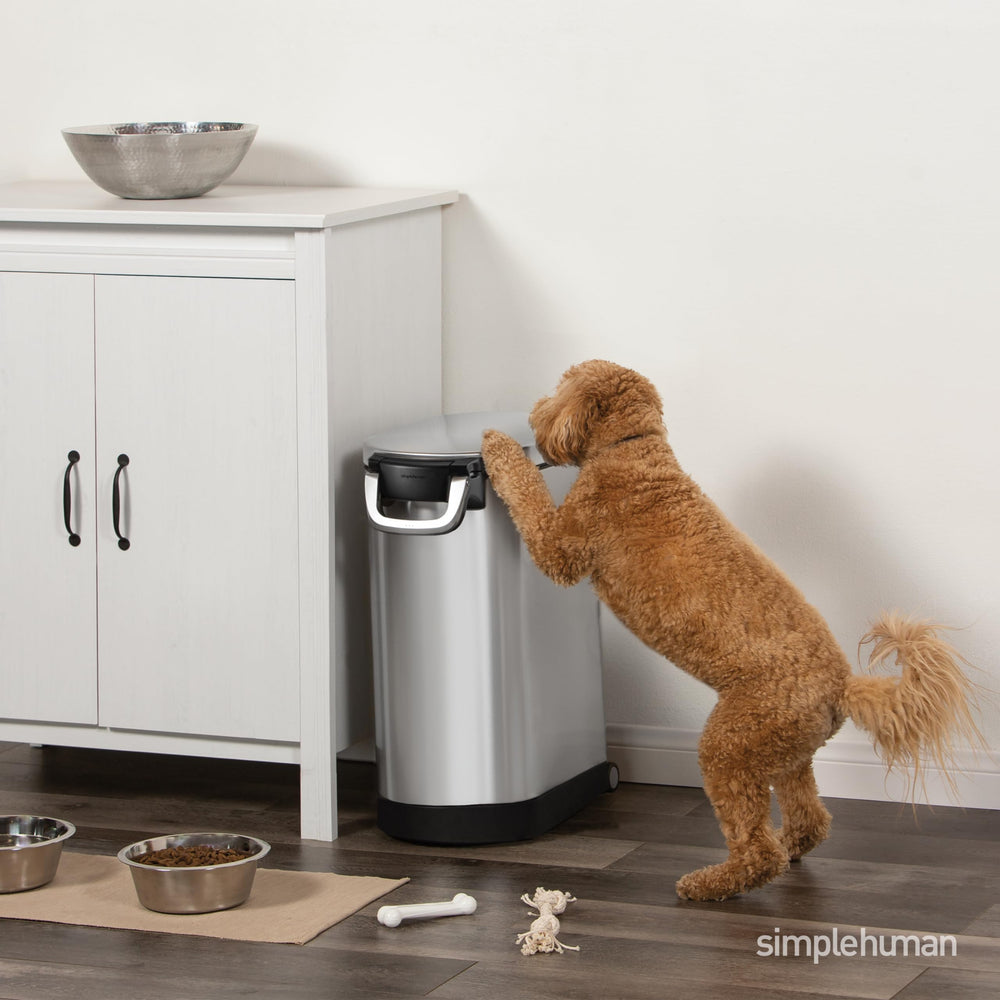30 Liter, 32 lb / 14.5 kg Large Pet Food Storage Container for Dog Food, Cat Food, and Bird Feed, Brushed Stainless Steel