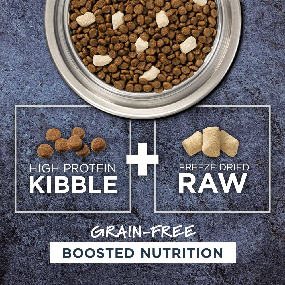 Raw Boost, Natural Dry Cat Food with Freeze Dried Pieces, High Protein, Grain Free Recipe - Real Chicken, 10 lb. Bag