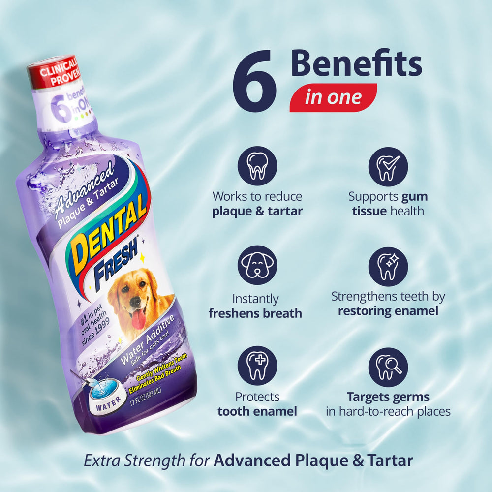 Advanced Plaque and Tartar Water Additive, 17oz – Dog Teeth Cleaning Formula to Freshen Breath and Improve Cat & Dog Dental Care