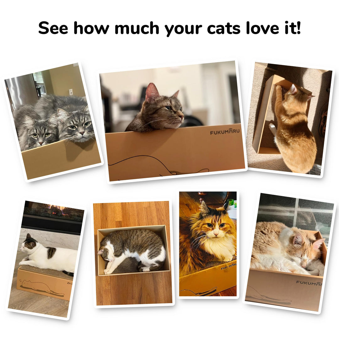 5 PCS Cat Scratching Boards, 11.4 Inch Width Ex-Large Cat Scratcher Box, Reversible Cardboard Scratchers for Indoor Cats, Cat Scratch Box for Large, Medium and Small Cats, Protect Furniture
