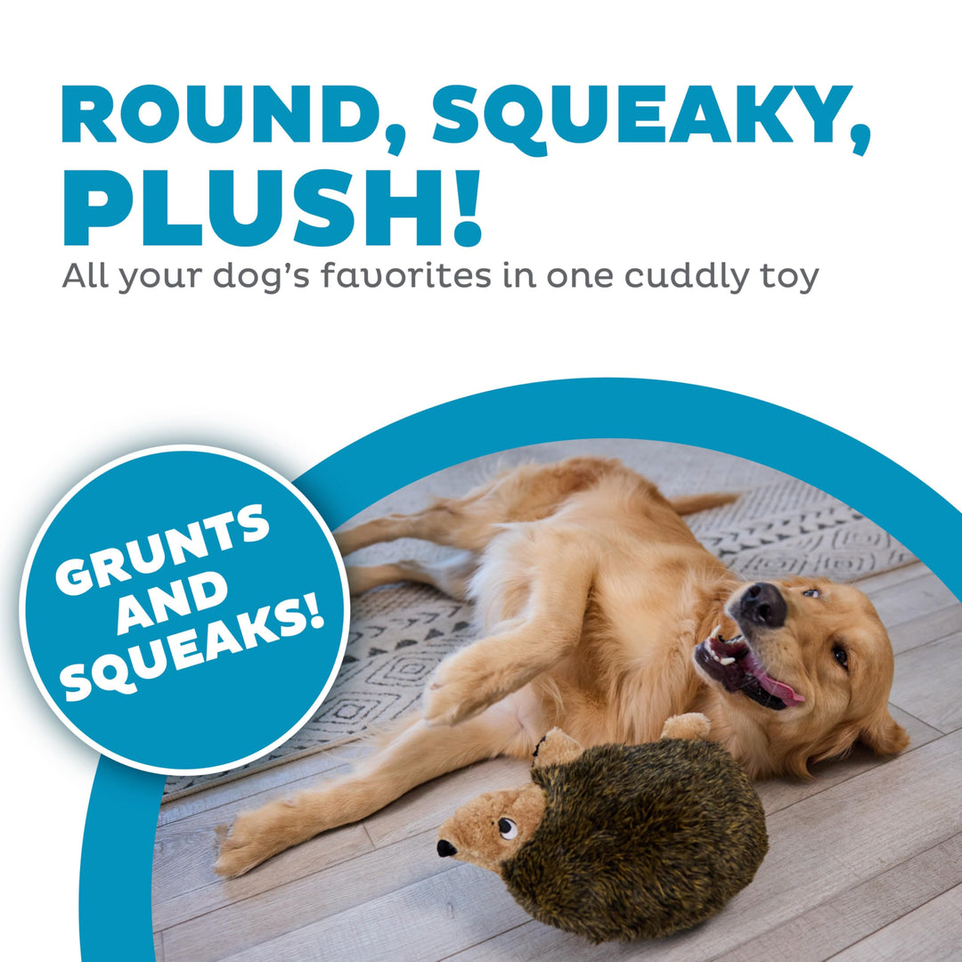 , Hedgehogz Plush Dog Toy, Large