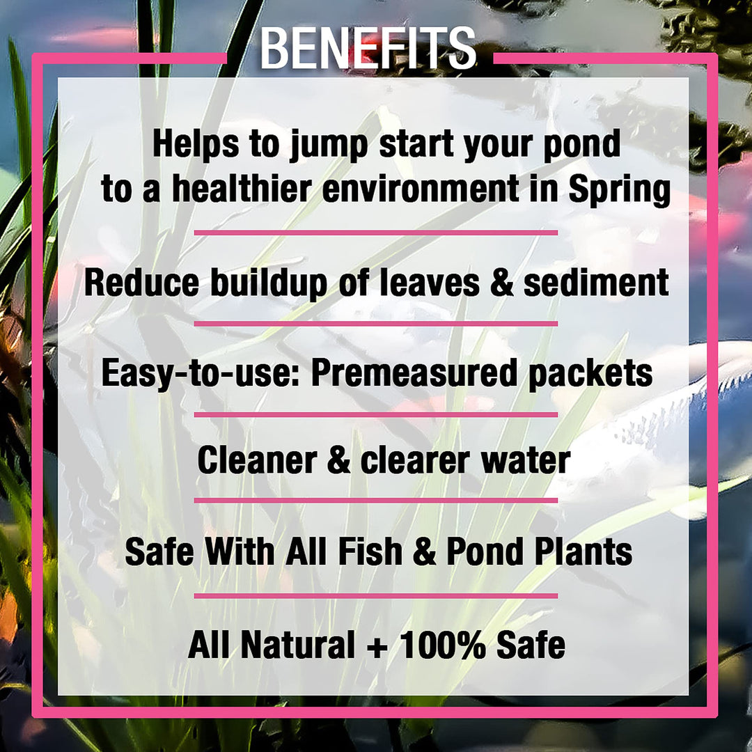 10XSSCX1 Spring and Summer Pond and Outdoor Water Garden Cleaner, Safe for Live Koi Fish, Plant Life, and Decor, 16 Ounces