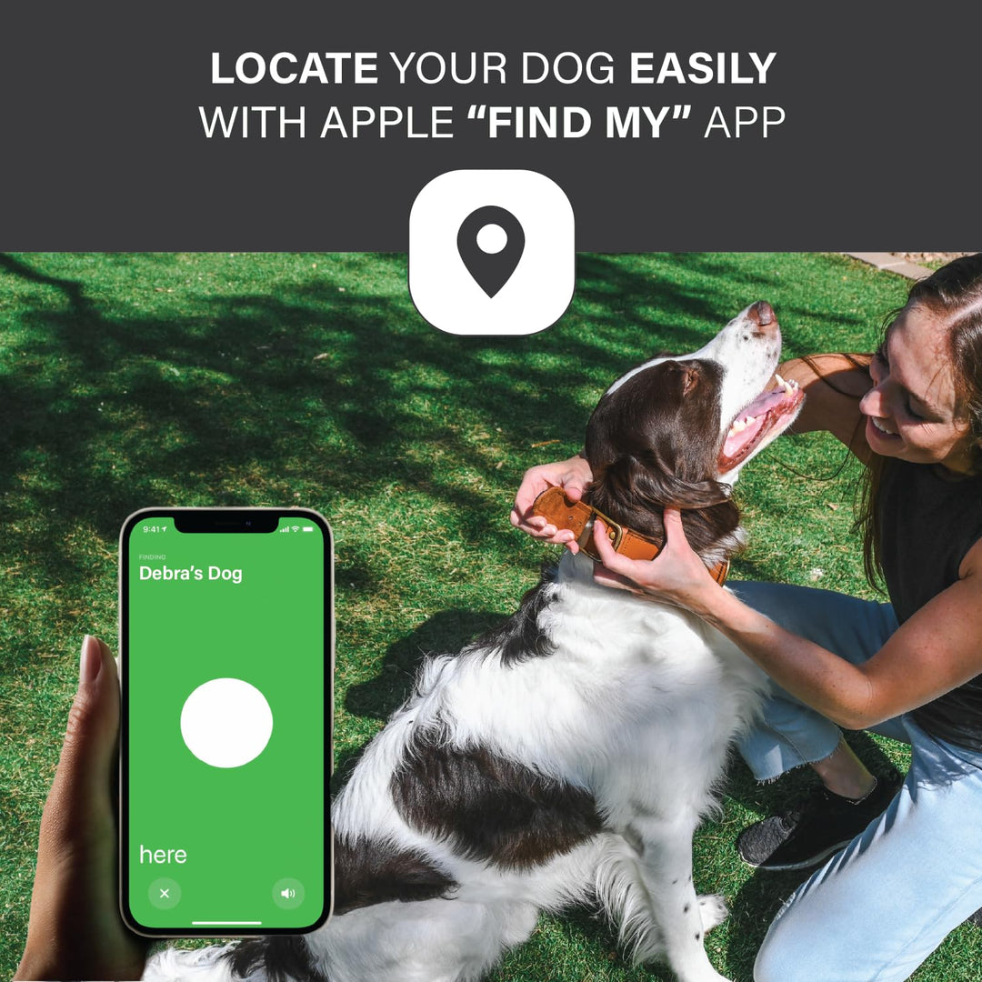 Apple AirTag Leather Dog Collar Smart GPS Collar with AirTag Holder (S, Brown)