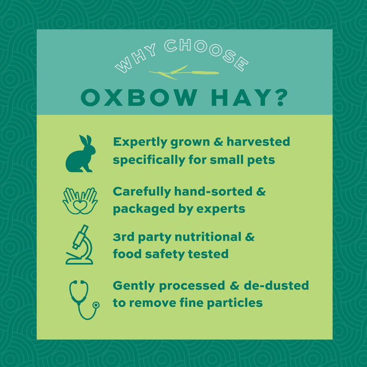Animal Health Western Timothy Hay, Guinea Pig Hay, Small Pet Bunny Supplies, All Natural Grass for Guinea Pig, Bunny, Chinchilla & Hamster, Rabbit Supplies for Bunnies, 40 oz. bag