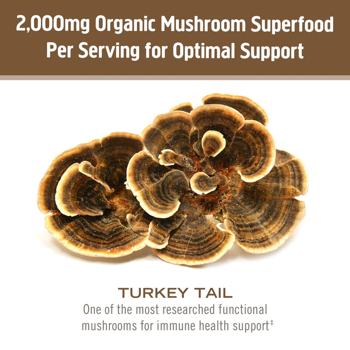 Turkey Tail Organic Mushroom Powder Pouch, 7.05 Ounce, 100 Servings, Immune Support, Polysacchrides, Beta-Glucans, Gut Health & Holistic Defense Mushroom Supplement