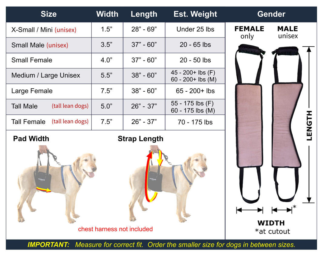 GINGERLEAD Dog Rear Support Sling Harness, M/LG Unisex with Cutout Fits Male & Female Dogs. Padded Hip Lifting Aid Helps Old Pets Walk, K9s Recover from TPLO Surgery. Integrated Leash. Made in U.S.A.