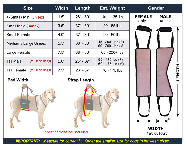 GINGERLEAD Dog Rear Support Sling Harness, M/LG Unisex with Cutout Fits Male & Female Dogs. Padded Hip Lifting Aid Helps Old Pets Walk, K9s Recover from TPLO Surgery. Integrated Leash. Made in U.S.A.