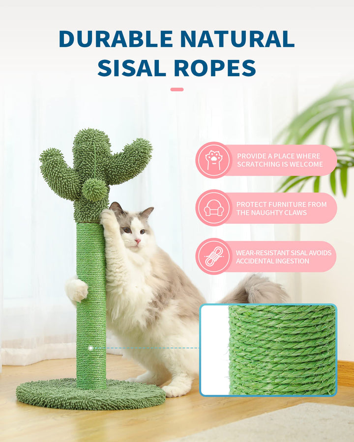 Made4Pets Cat Scratching Post, 21.7 Cactus Cat Scratcher Kitten Scratching Post with Natural Sisal Rope for Indoor Cats Claw Scratcher, Cat Tree with Dangling Balls for Small Kittens