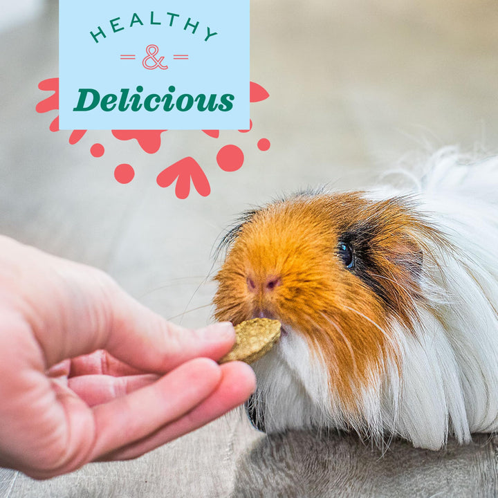 Animal Health Natural Science Vitamin C Supplement, Vitamin C for Guinea Pig, Made with Timothy Hay, Pet Supplements for Guinea Pigs, Veterinarian Formula, Made in USA, 4.2 oz bag