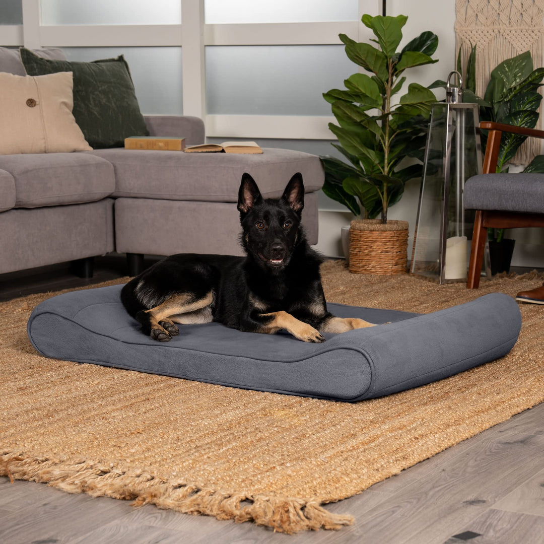 Orthopedic Dog Bed for Large Dogs w/ Removable Washable Cover, For Dogs Up to 75 lbs - Microvelvet Luxe Lounger Contour Mattress - Gray, Jumbo/XL