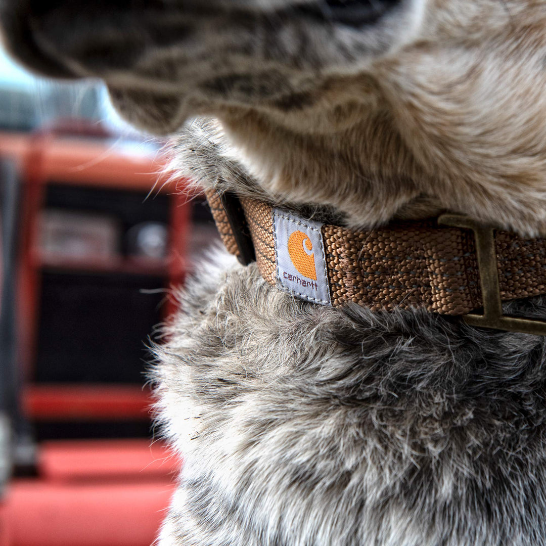 Fully Adjustable Nylon Webbing Collars for Dogs, Reflective Stitching for Visibility, Brown (Nylon Webbing), Medium