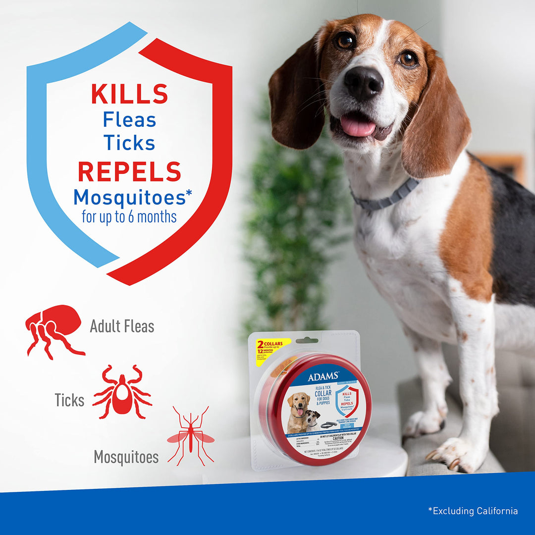 Flea & Tick Collar for Dogs & Puppies | 2 Pack | 12 Month Protection | Adjustable One Size | Kills Fleas, Ticks & Repels Mosquitoes | Excluding California