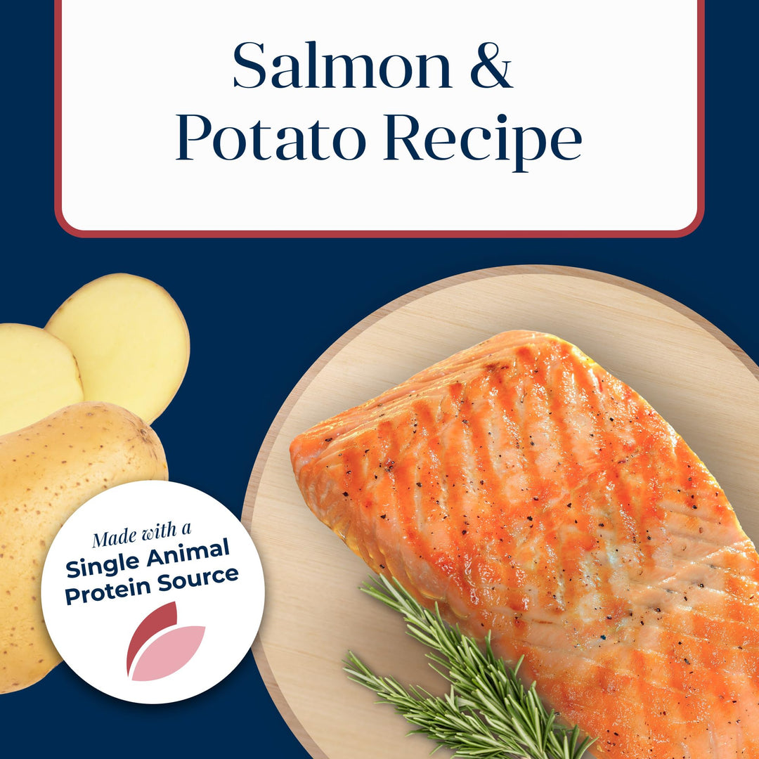 Basics Crunchy Dog Biscuits for Skin & Stomach Care, Limited Ingredient Diet Dog Treats, Salmon & Potato Recipe, 6-oz. Bag