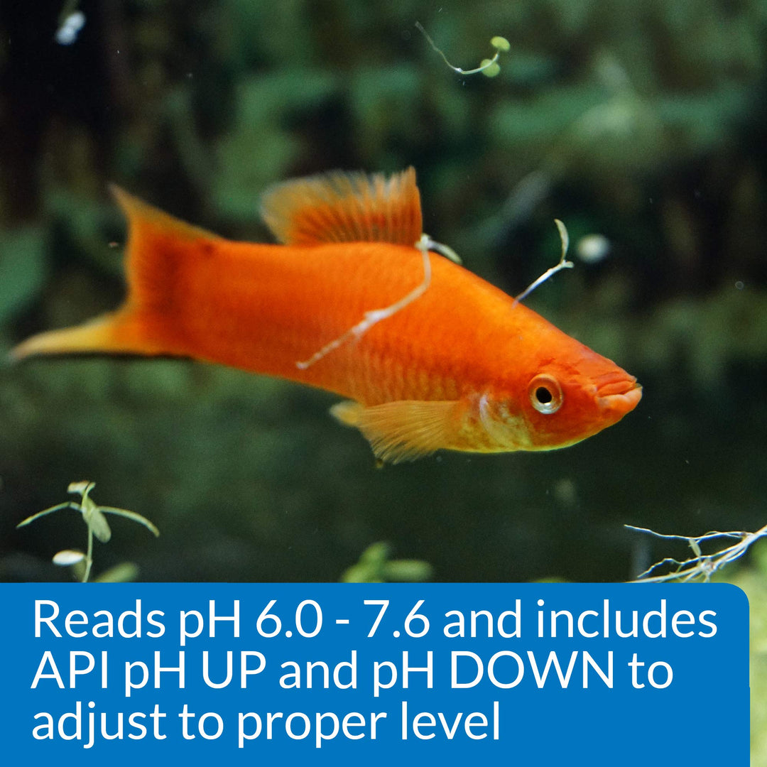 pH TEST & ADJUSTER KIT 250-Test Freshwater Aquarium Water pH Test and Adjuster Kit