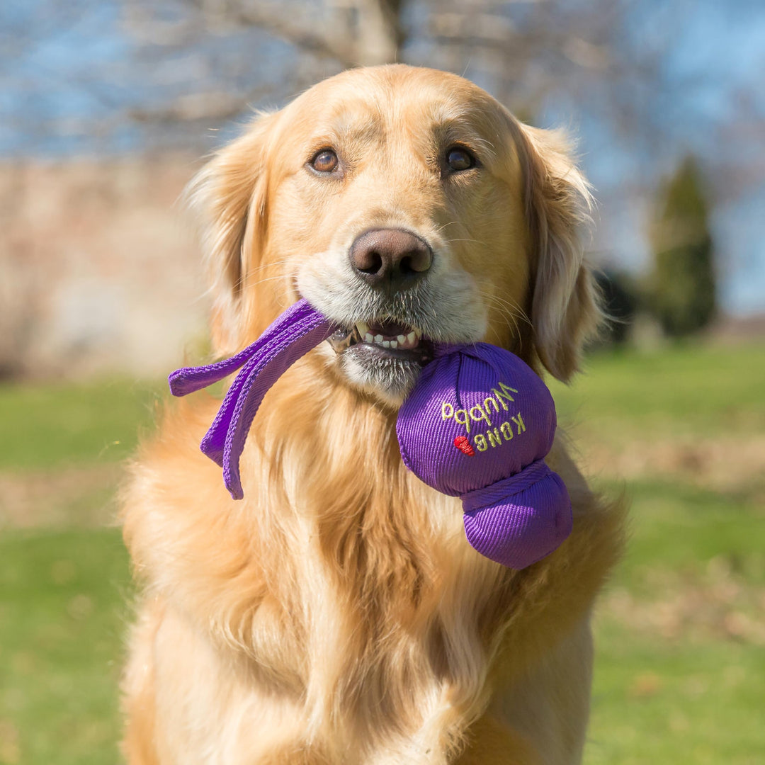 Wubba - Dog Toy for Tug of War & Fetch - Dog Supplies for Puppy & Dog Playtime - Outdoor & Indoor Dog Toy - for XL Dogs