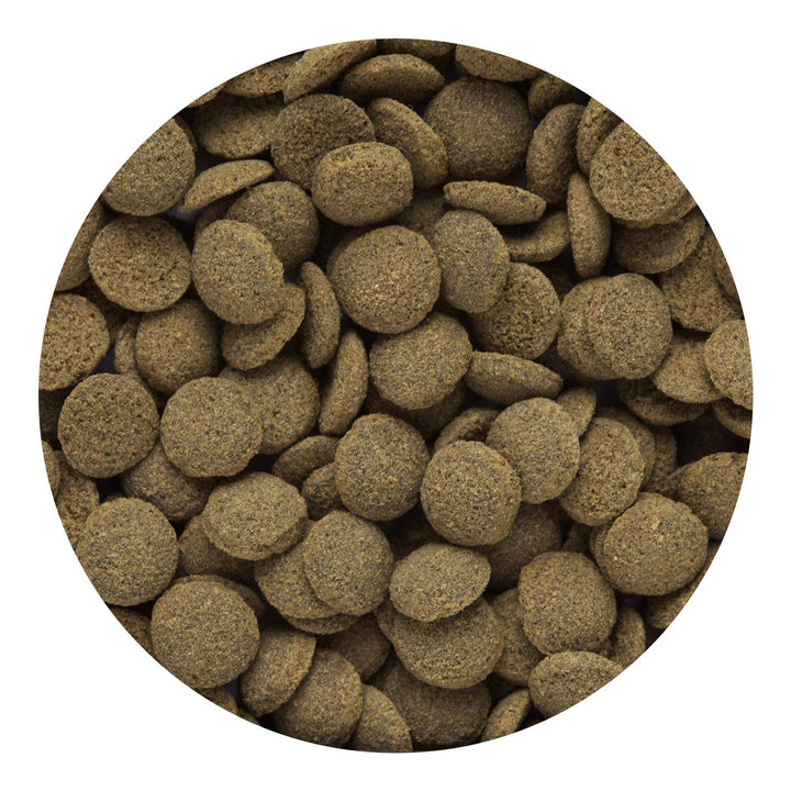 Tropical Sinking Wafers for Catfish, Loaches and Bottom Feeders 3.88 oz