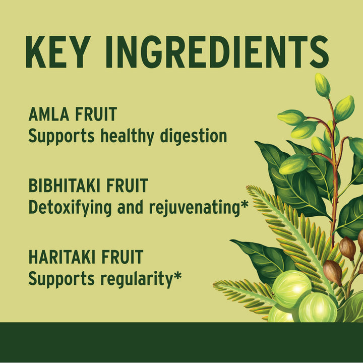 Triphala Tablets - Organic Triphala Supplement with Amla, Haritaki & Bibhitaki – For Digestion, Elimination & Healthy Gut Microbiome* – 90 Tablets – Non-GMO Sustainably Sourced Vegan