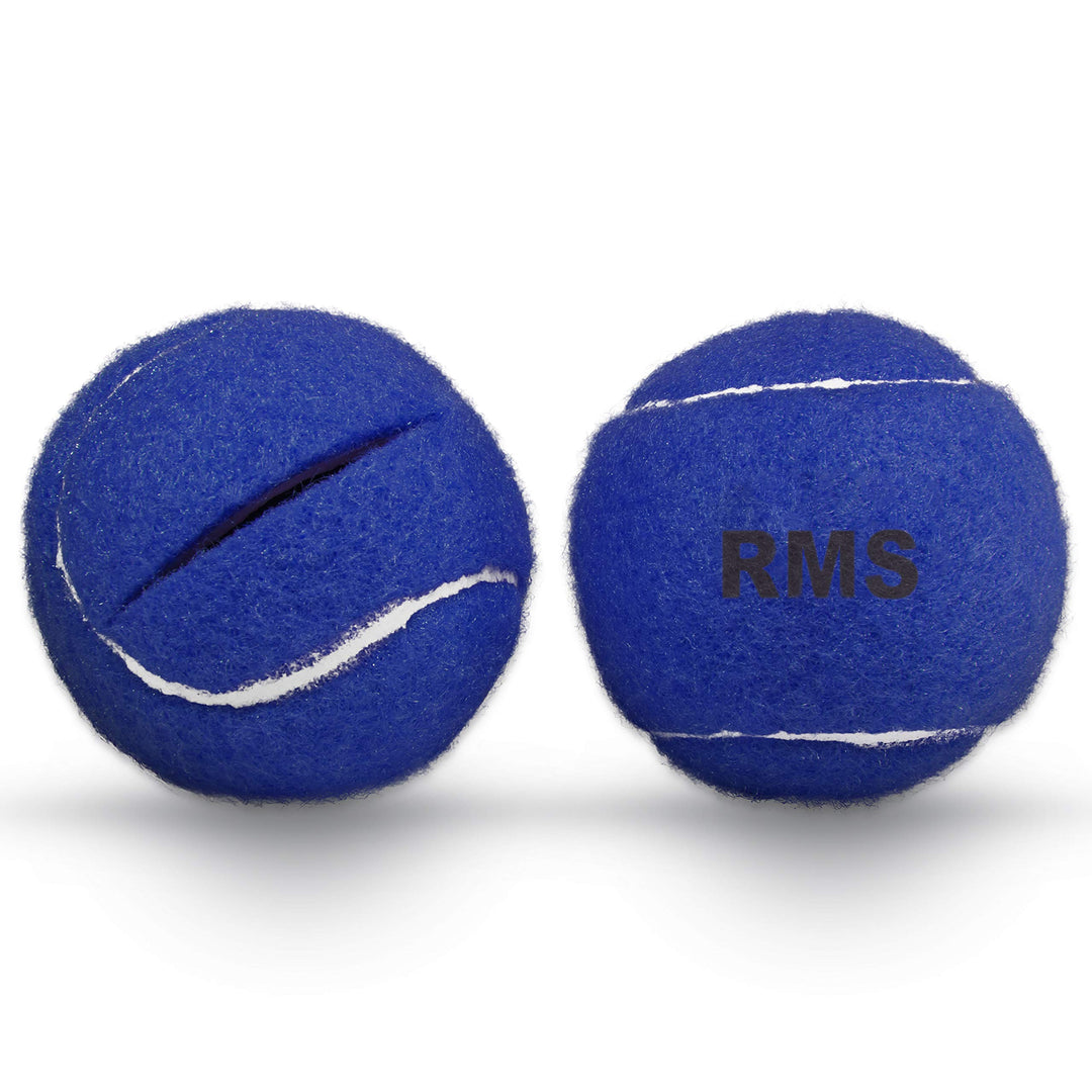 Walker Glide Balls 6 Color Choices (Blue)