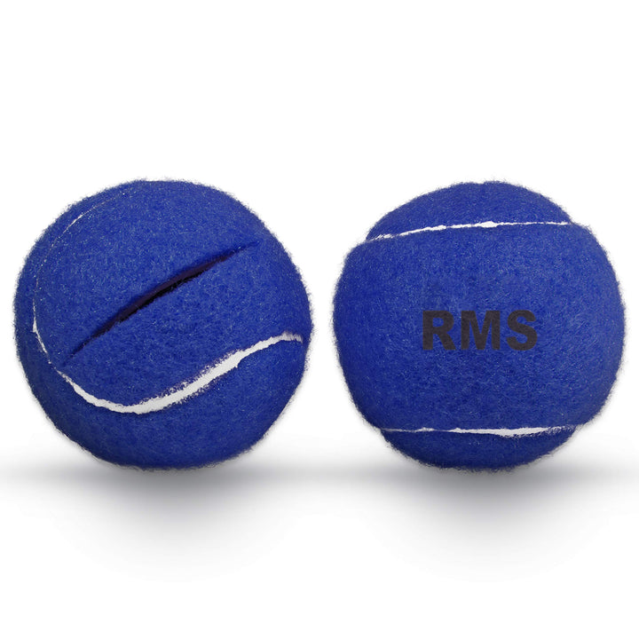Walker Glide Balls 6 Color Choices (Blue)