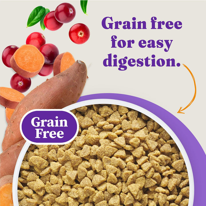 Holistic Cage Free Chicken Cat Food, Grain Free Dry Cat Food, For Healthy Weight Support, Kibble for Indoor Cats, 3 lb Bag