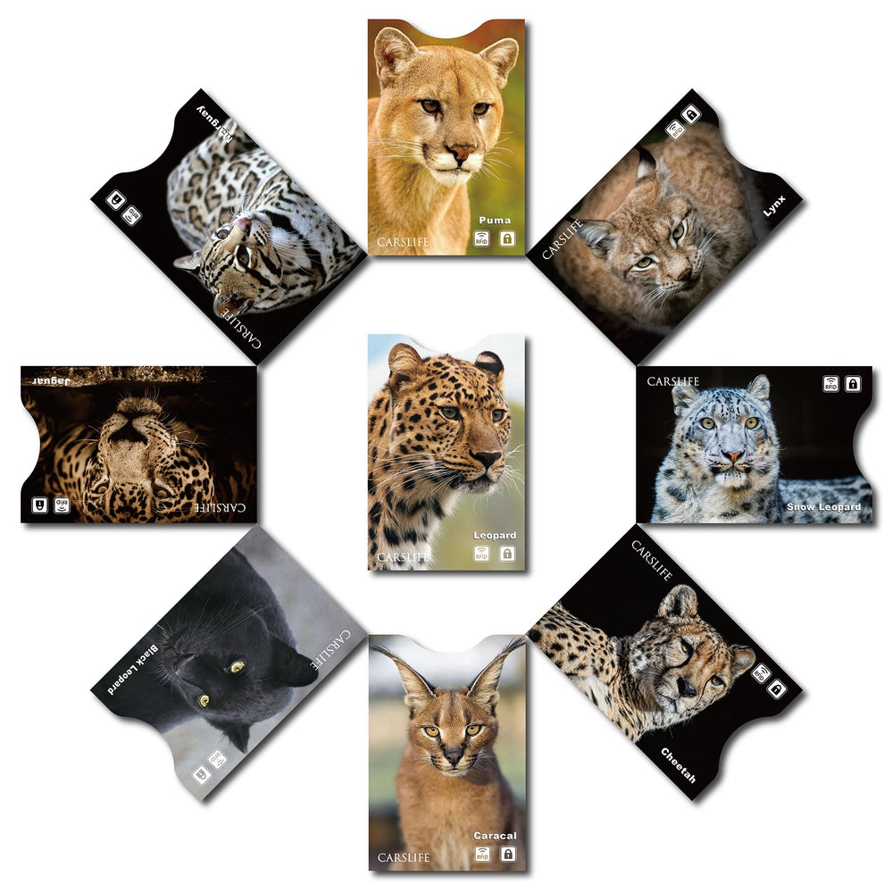 12 RFID Blocking Sleeves (9 Credit Card sleeves & 3 Passport Protectors) Premium Identity Theft Protection Secure Sleeves travel case cat design