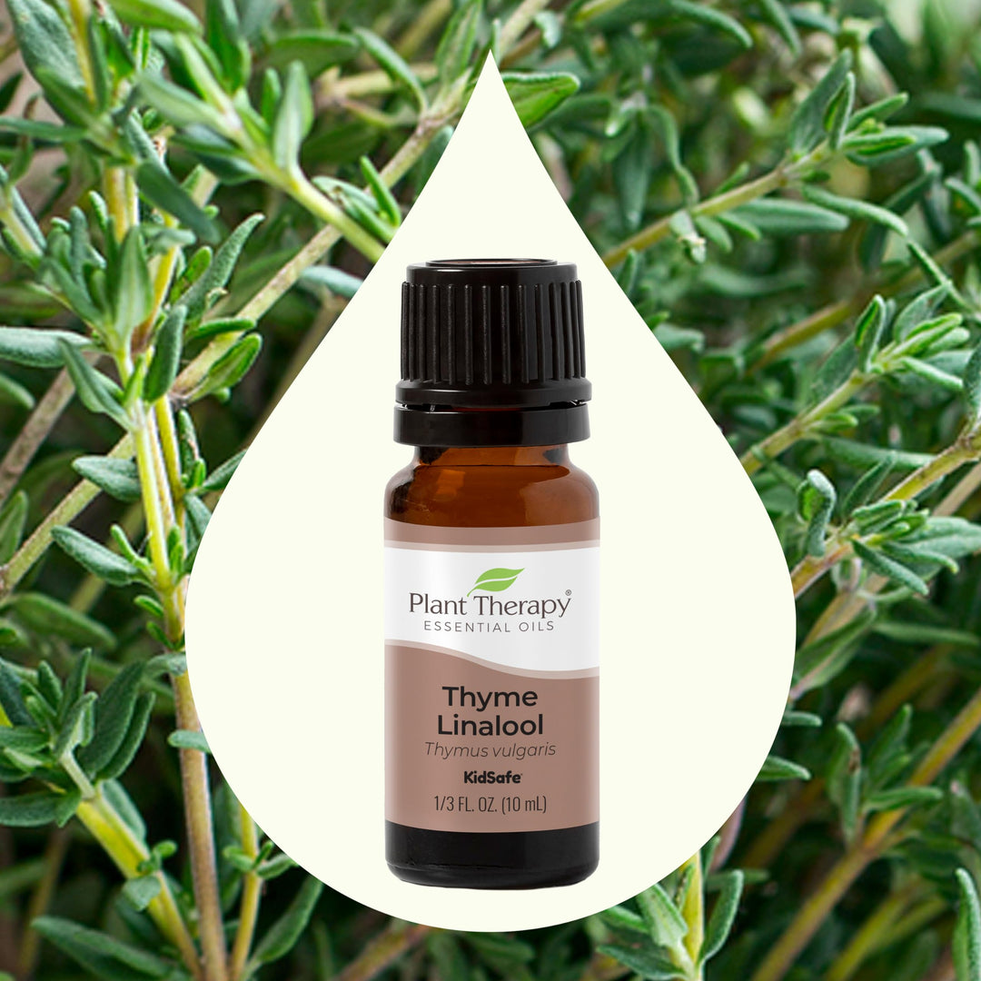 Thyme Linalool Essential Oil 10 mL (1/3 oz) 100% Pure, Undiluted, Therapeutic Grade