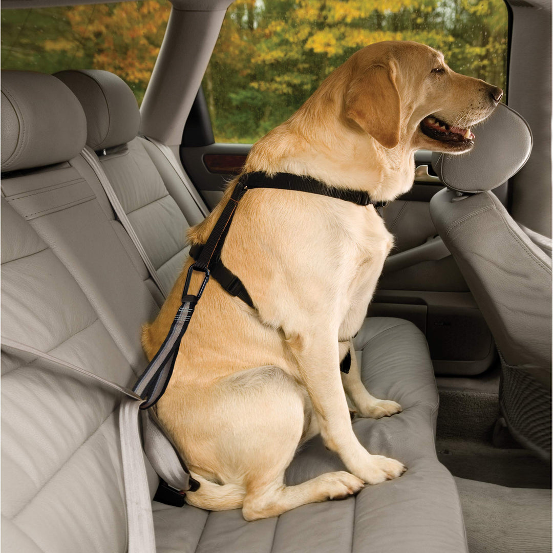 Dog seat Belt Pet Safety Tether with Carabiner, Tru-Fit Enhanced Strength Replacement Tether, Use with Car Safety Dog Harness, seat Belt Tether (Black/Grey)